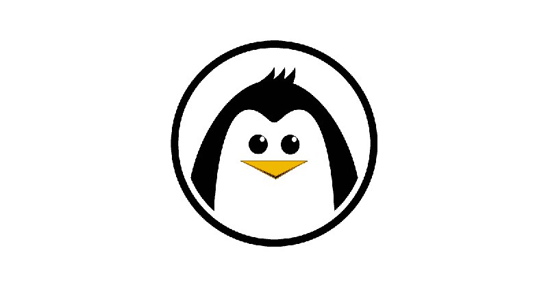 The Best Programmers I Know